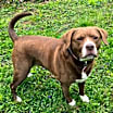 Thumbnail photo of Coco #1