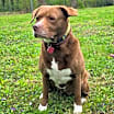 Thumbnail photo of Coco #2
