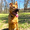 Thumbnail photo of Kane #3