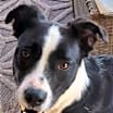 Thumbnail photo of Clyde #1