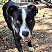 Thumbnail photo of Clyde #2