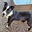 Thumbnail photo of Clyde #4