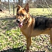 Thumbnail photo of Kane #1