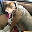 Thumbnail photo of Roxy  #4