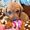 Thumbnail photo of Janie #1