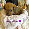 Thumbnail photo of Janie #3