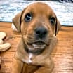 Thumbnail photo of Janie #4