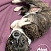 Thumbnail photo of Enid #3