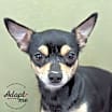 Thumbnail photo of Mo #1