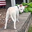 Thumbnail photo of Bree #4
