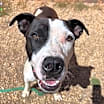 Thumbnail photo of Carl #1
