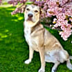 Thumbnail photo of Delilah Bouvier #2