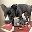 Thumbnail photo of Melani #3