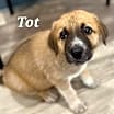 Thumbnail photo of Tot #1