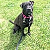Thumbnail photo of Harper #1