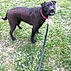 Thumbnail photo of Harper #2