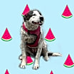 Thumbnail photo of Baby Girl #3