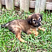 Thumbnail photo of Martha #1