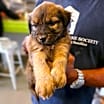 Thumbnail photo of Martha #2