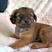 Thumbnail photo of Martha #3