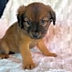 Thumbnail photo of Martha #4
