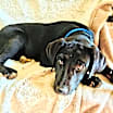 Thumbnail photo of Felipe #1