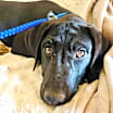 Thumbnail photo of Felipe #2