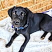 Thumbnail photo of Felipe #4