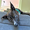 Thumbnail photo of Eve #1