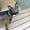 Thumbnail photo of Eve #4