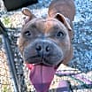 Thumbnail photo of Charlie #3