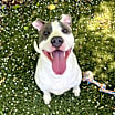 Thumbnail photo of Nina #3
