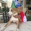 Thumbnail photo of Brooks #1