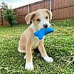Thumbnail photo of Brooks #2