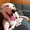 Thumbnail photo of Spirit #1