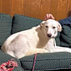 Thumbnail photo of Spirit #3