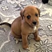 Thumbnail photo of Buford #1