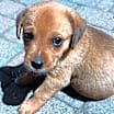 Thumbnail photo of Buford #2