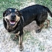 Thumbnail photo of Alva #1