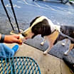 Thumbnail photo of Zena FC Amy B #4