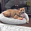 Thumbnail photo of Carter #2