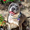 Thumbnail photo of Tiny #1