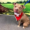 Thumbnail photo of Bubba #2