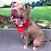 Thumbnail photo of Bubba #3