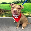 Thumbnail photo of Bubba #4