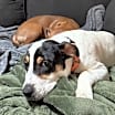 Thumbnail photo of Spud #2