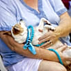 Thumbnail photo of Pepper Spice Boy #4