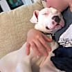 Thumbnail photo of Krypto #1