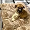 Thumbnail photo of Tot #3