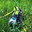 Thumbnail photo of Spud #2